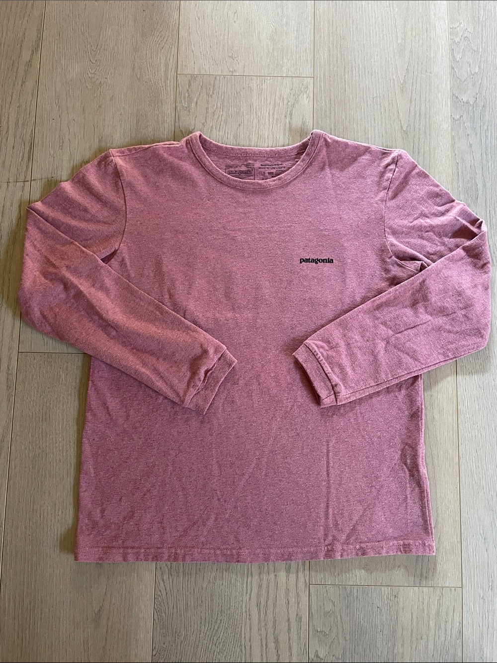 Patagonia Responsibili P-5 Logo LS Tee